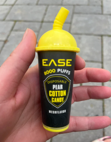 EASE DISPOSABLE VAPE 8000 PUFFS (Box of 10)