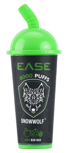 EASE DISPOSABLE VAPE 8000 PUFFS (Box of 10)