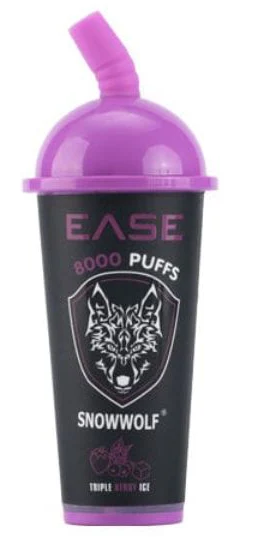 EASE DISPOSABLE VAPE 8000 PUFFS (Box of 10)